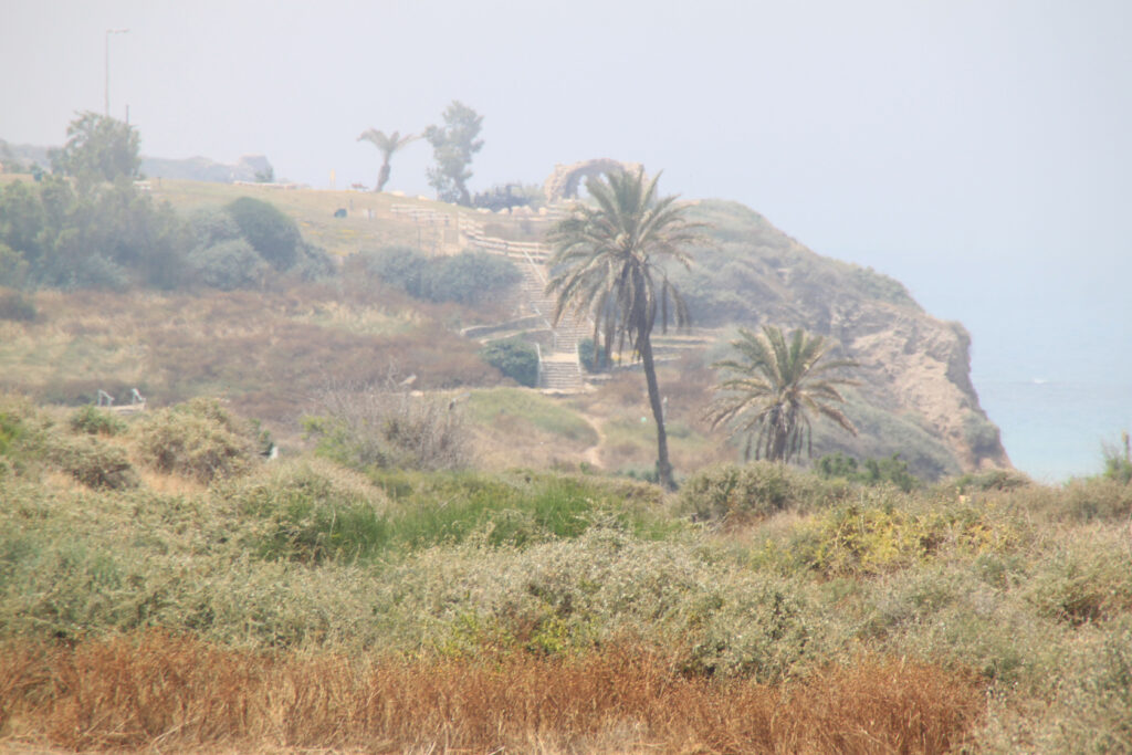 Views in Israel